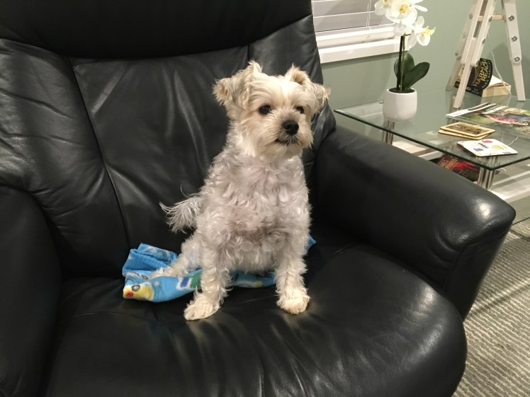 82841C68-2640-4824-AD28-5179EF3A43C5